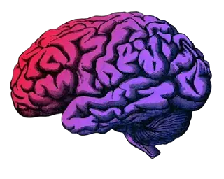 Thumbnail for The Real Science of Success: IQ vs. Emotional Intelligence